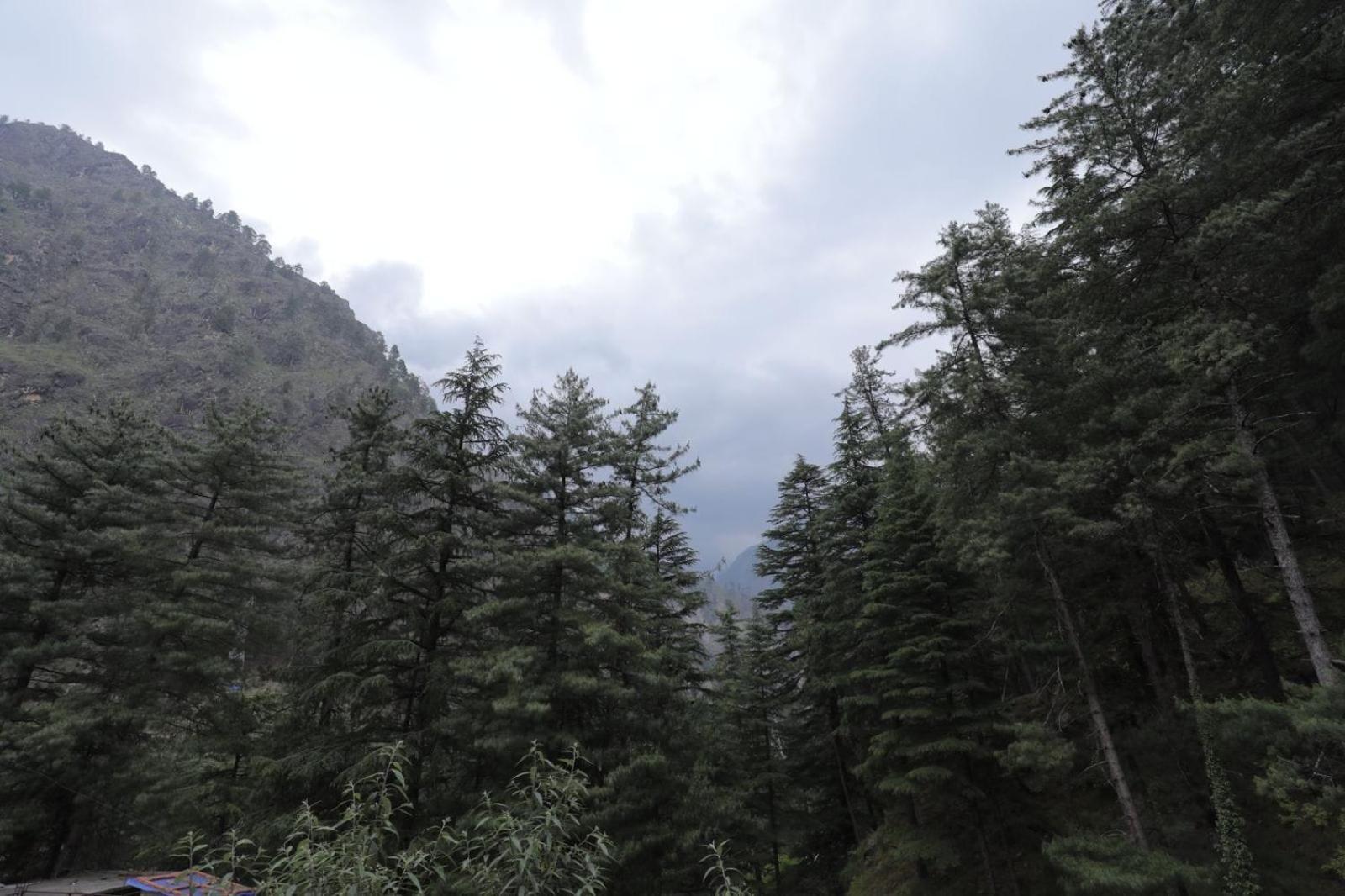 Shangri-La Rooms & Restaurant Kasol Extérieur photo